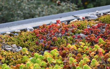 the cost of Manorbier green roof installation