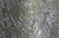 Manorbier fibreglass roof work